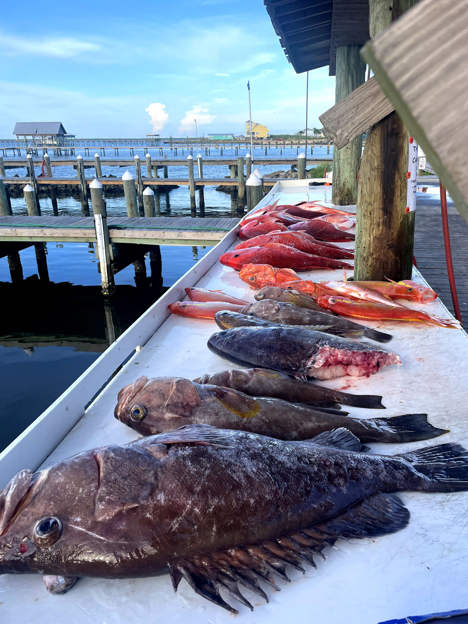 Offshore Fishing